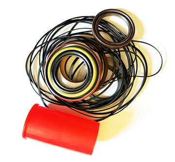Replacement Seal Kit for Young (618V19) Grapple Head Motor - 587V75